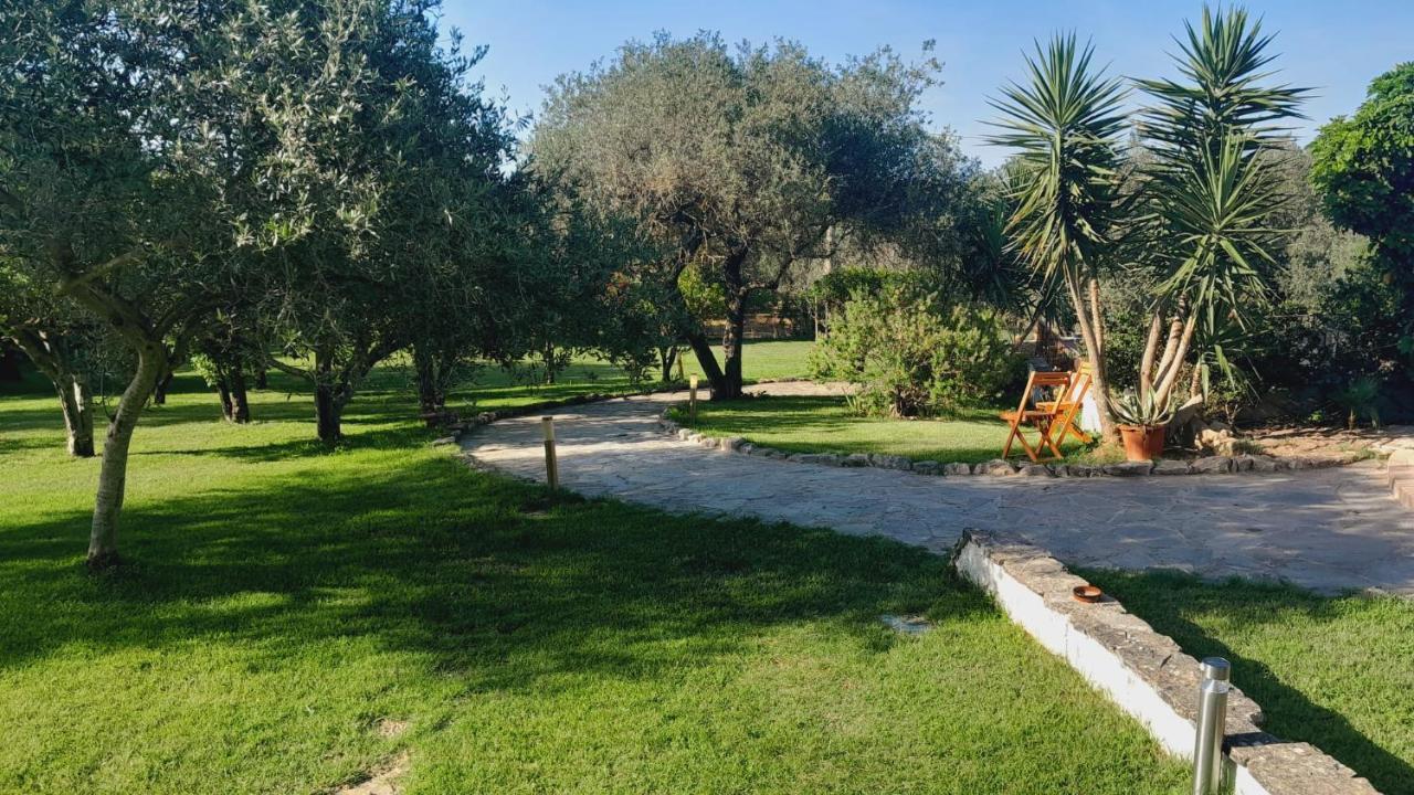 Relax Tra Gli Ulivi Villa *