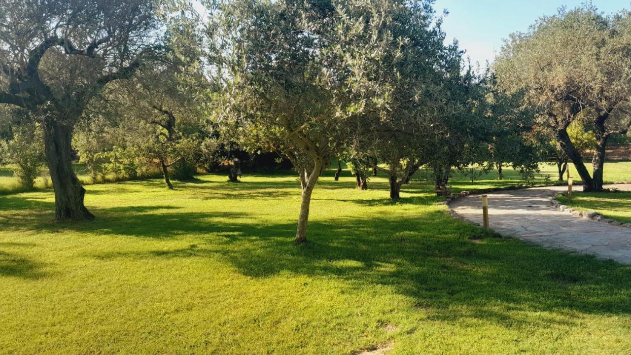 Villa Relax Tra Gli Ulivi Alghero